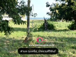 รูปกุยบุรีคะ_210222_5