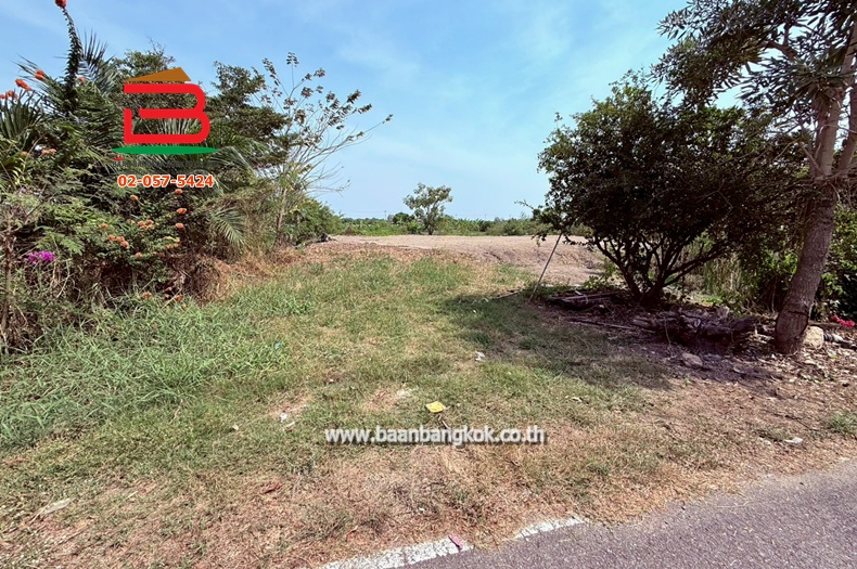 ที่ดินเปล่า เนื้อที่ 1-0-80 ไร่ ซอยกำนันสมจิตร ตำบลบางแม่นาง อำเภอบางใหญ่ นนทบุรี