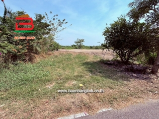 11644, ที่ดินเปล่า เนื้อที่ 1-0-80 ไร่ ซอยกำนันสมจิตร ตำบลบางแม่นาง อำเภอบางใหญ่ นนทบุรี