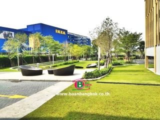 3314 Plum Condo Central Station Phase 1 ต่อสัญญา_200511_0021