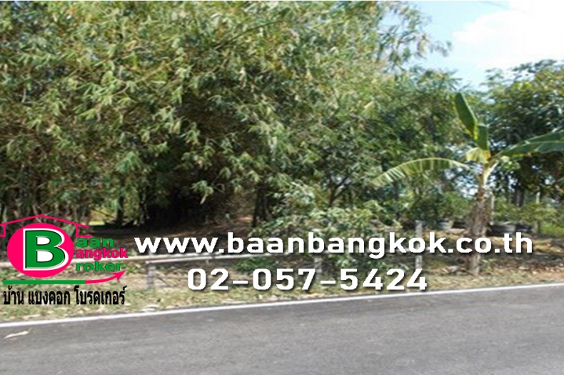 ขาย ที่ดินเปล่า ถมเเล้ว เนื้อที่ 400 ตรว. โครงการ คลองฝรั่ง ถนนกาญจนาภิเษก อ.ไทรน้อย จ.นนทบุรี