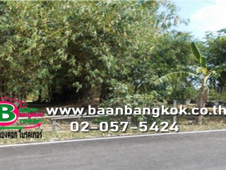 2069, ขาย ที่ดินเปล่า ถมเเล้ว เนื้อที่ 400 ตรว. โครงการ คลองฝรั่ง ถนนกาญจนาภิเษก อ.ไทรน้อย จ.นนทบุรี
