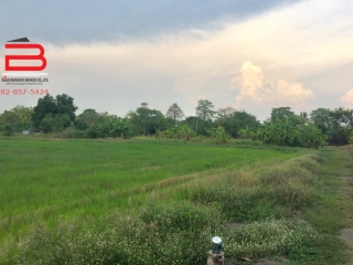 07305, ที่ดินเปล่าจัดสรร สวนสุธิดา 1 เนื้อที่ 2 ไร่ ถนนรังสิต-นครนายก อ.หนองเสือ จ.ปทุมธานี