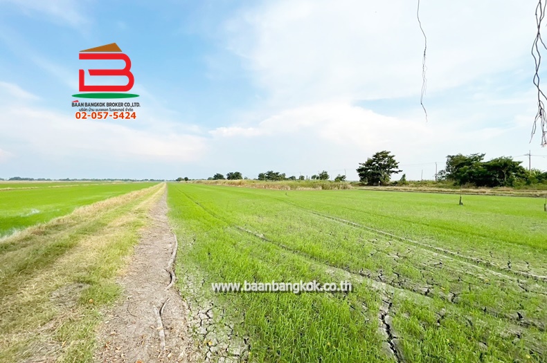 ที่ดินเปล่า เนื้อที่ 5 ไร่ ถนนคู้คลองสิบ แยก12 แขวงคลองสิบ เขตหนองจอก