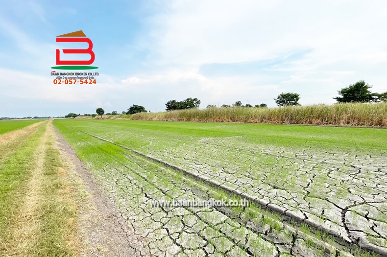 3-LINE_ALBUM_10019ที่ดินเปล่า5ไร่ 2.99MBคู้คลองสิบแยก12 ม7 ยะ_241118_713