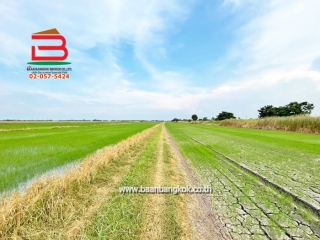 3-LINE_ALBUM_10019ที่ดินเปล่า5ไร่ 2.99MBคู้คลองสิบแยก12 ม7 ยะ_241118_1113