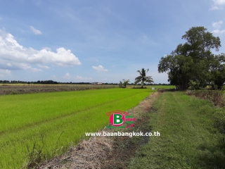 03704, ที่ดินเปล่า ซอยบึงบอน 10 เนื้อที่ 105 ตรว. ถนนรังสิต-นครนายก อ.หนองเสือ จ.ปทุมธานี