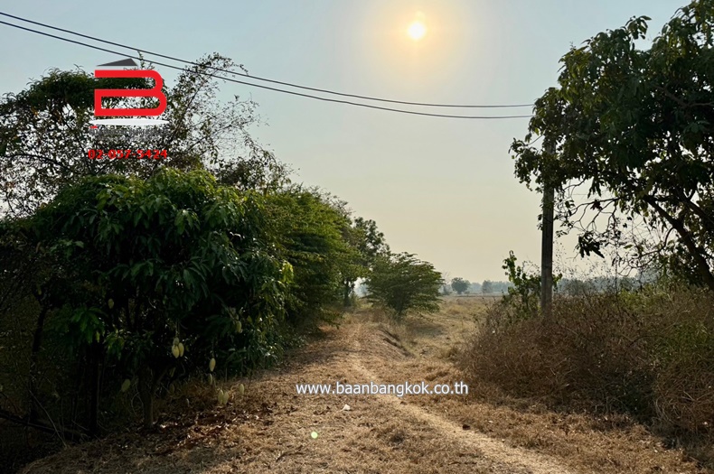 3-LINE_ALBUM_N09293. LD 46 ไร่ สุพรรณบุรี_240409_113