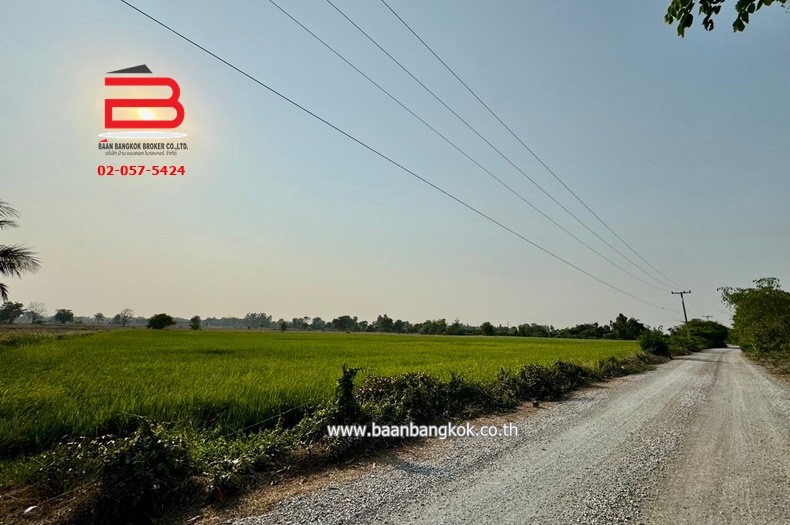 3-LINE_ALBUM_N09293. LD 46 ไร่ สุพรรณบุรี_240409_213