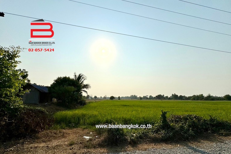 ที่ดินเปล่า (แบ่งขายได้) ใกล้วัดหนองเต่าทอง เนื้อที่ 46-1-64 ไร่  ถนนทางหลวง 5051 ต.หนองราชวัตร อ.หนองหญ้าไซ จ.สุพรรณบุรี