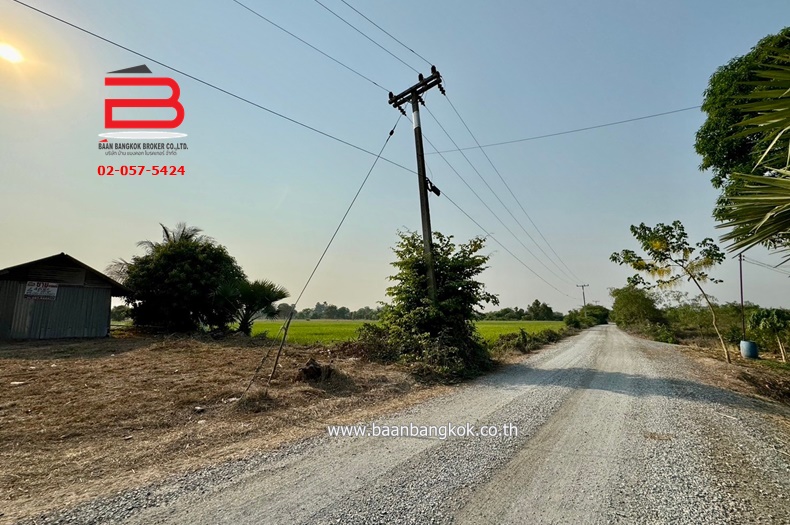 3-LINE_ALBUM_N09293. LD 46 ไร่ สุพรรณบุรี_240409_413