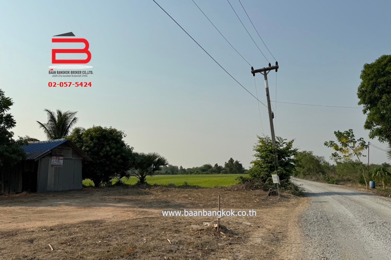 3-LINE_ALBUM_N09293. LD 46 ไร่ สุพรรณบุรี_240409_513