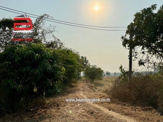 3-LINE_ALBUM_N09293. LD 46 ไร่ สุพรรณบุรี_240409_113