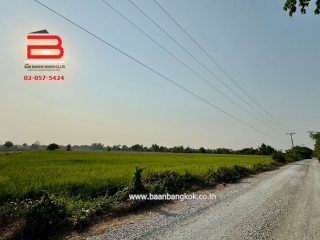 3-LINE_ALBUM_N09293. LD 46 ไร่ สุพรรณบุรี_240409_213