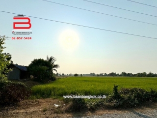 09293, ที่ดินเปล่า (แบ่งขายได้) ใกล้วัดหนองเต่าทอง เนื้อที่ 46-1-64 ไร่  ถนนทางหลวง 5051 ต.หนองราชวัตร อ.หนองหญ้าไซ จ.สุพรรณบุรี