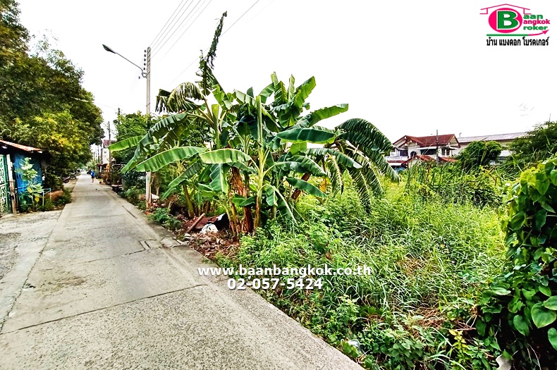 ขาย ที่ดินเปล่า เนื้อที่ 50 ตรว. ซ.เปียร์นนท์ ถนนลำลูกกา อ.ลำลูกกา จ.ปทุมธานี