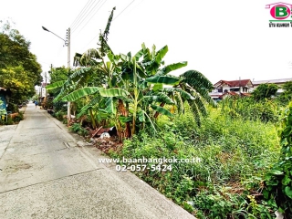 2670, ขาย ที่ดินเปล่า เนื้อที่ 50 ตรว. ซ.เปียร์นนท์ ถนนลำลูกกา อ.ลำลูกกา จ.ปทุมธานี
