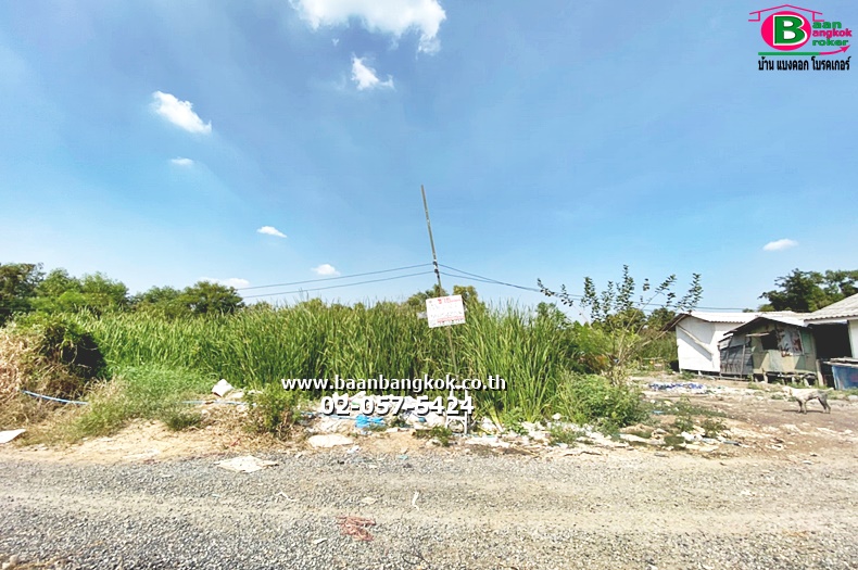 ขาย ที่ดิน ถมเเล้ว เนื้อที่ 232 ตรว. คลองแอนหน้าวัดพระธรรมกาย ถนนคลองหลวง อ.คลองหลวง จ.ปทุมธานี