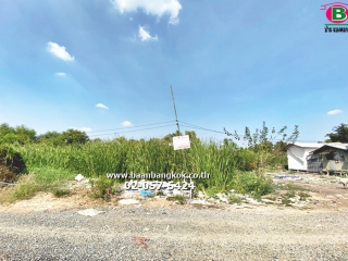 2755, ขาย ที่ดิน ถมเเล้ว เนื้อที่ 232 ตรว. คลองแอนหน้าวัดพระธรรมกาย ถนนคลองหลวง อ.คลองหลวง จ.ปทุมธานี