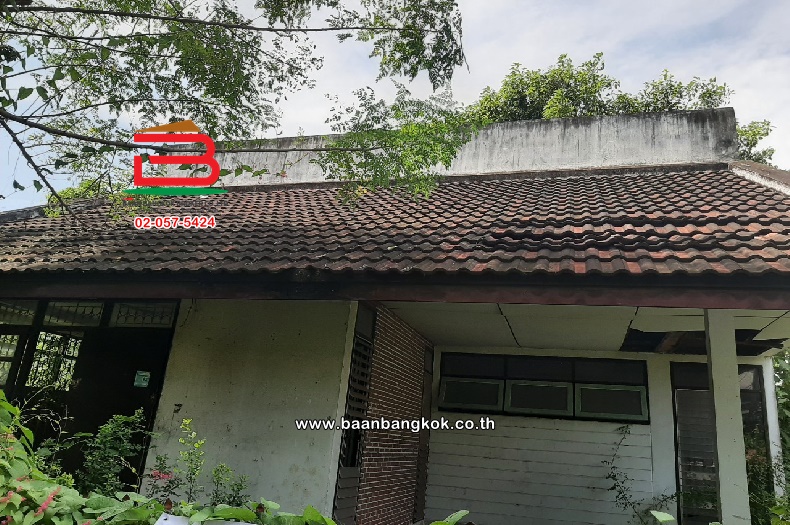 LINE_ALBUM_No.09859ที่ดิน+บ้านสวนสยามซอย 9 แยก 22_240916_13