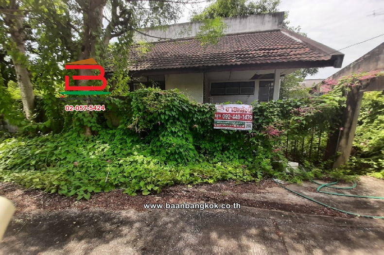 LINE_ALBUM_No.09859ที่ดิน+บ้านสวนสยามซอย 9 แยก 22_240916_17