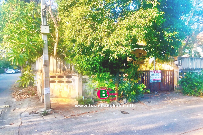 03023 ม. เทพพานิช เพรชบุรี_200316_0003