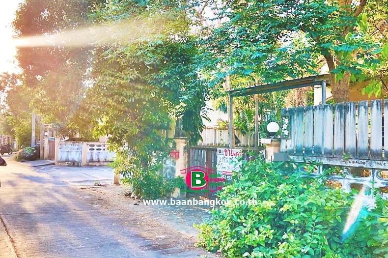 03023 ม. เทพพานิช เพรชบุรี_200316_0011