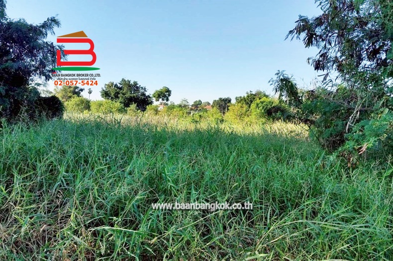 LINE_ALBUM_No.011382ที่ดินเปล่า 12-3-92.7ไร่ ต.ศาลารีไทย .ต้น_251208_11