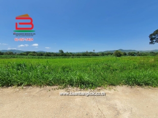 10390, ที่ดินเปล่า อ.ปากช่อง-ดงพญาเย็น เนื้อที่ 9-0-26.2 ไร่ ถนนทางหลวง 1016 จ.นครราชสีมา