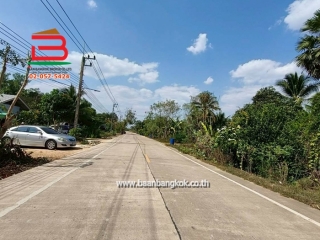 LINE_ALBUM_N.11611LD332ตร.ว. อำเภอบ่อทอง จังหวัดชลบุรี_260209_2