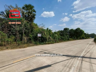 LINE_ALBUM_N.11611LD332ตร.ว. อำเภอบ่อทอง จังหวัดชลบุรี_260209_5