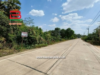 LINE_ALBUM_N.11611LD332ตร.ว. อำเภอบ่อทอง จังหวัดชลบุรี_260209_7