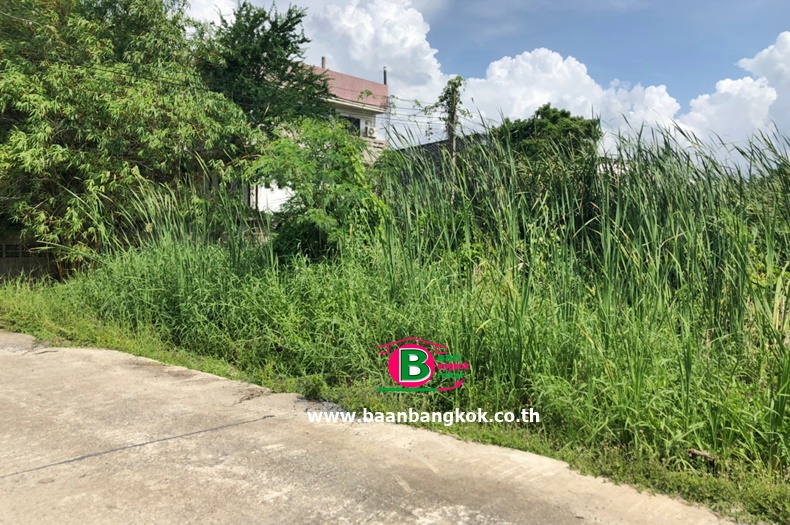 ที่ดินเปล่า โครงการ ธารทอง 2 แยก 10 เนื้อที่ 120 ตรว. ถนนกาญจนาภิเษก บางบัวทอง นนทบุรี