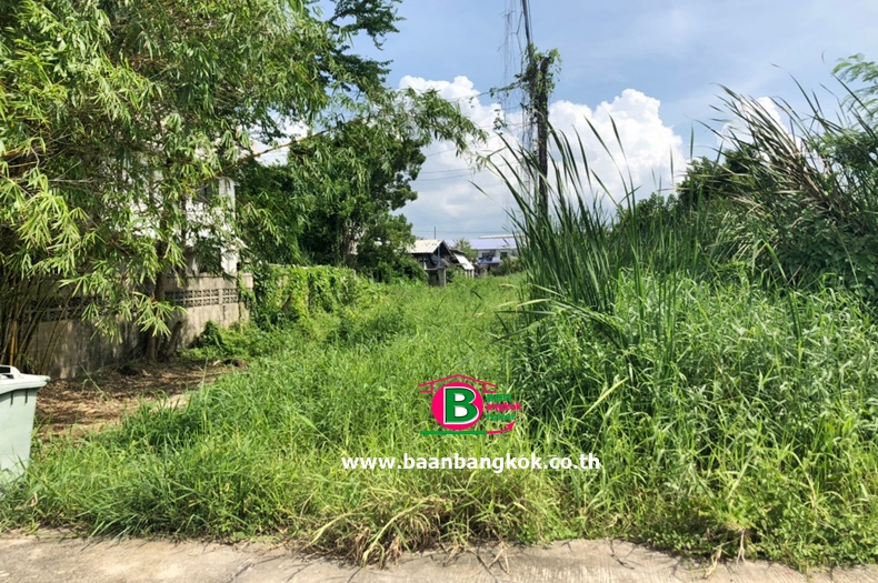 ที่ดินเปล่า เเบ่งขาย โครงการ ธารทอง 2 แยก 10 เนื้อที่ 240 ตรว. ถนนกาญจนาภิเษก บางบัวทอง นนทบุรี
