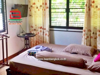 LINE_ALBUM_No.11453 H.มบ.ดีโฮม สันกำแพง50 ว้า (เอ๋)_260105_10