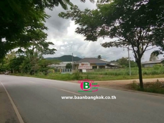 NO 03503 ที่ดินสวนผสม อ.แม่จัน จ.เชียงราย (ตาล)_200930_10