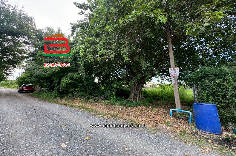 LINE_ALBUM_N10914. LD. 81 วา  ซ.บึงบอน14_250811_4