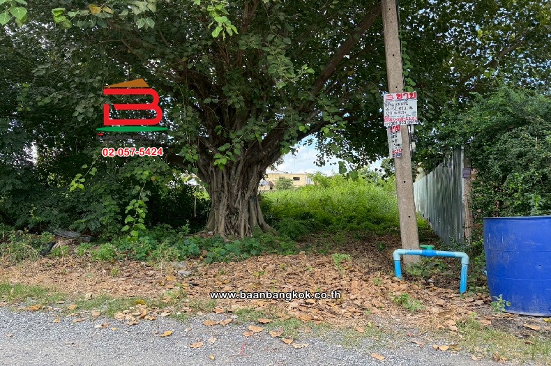 LINE_ALBUM_N10914. LD. 81 วา  ซ.บึงบอน14_250811_5