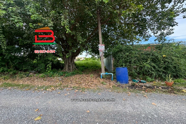 LINE_ALBUM_N10914. LD. 81 วา  ซ.บึงบอน14_250811_6