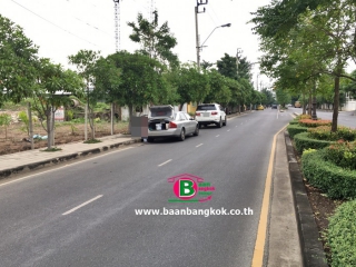 ที่ดินสายไหม43_201119_2