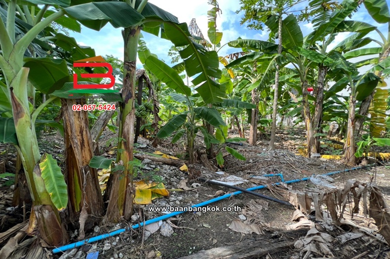 LINE_ALBUM_N07946. LD. 295 va นวมินทร์88 ต่อสัญญา_221202_0