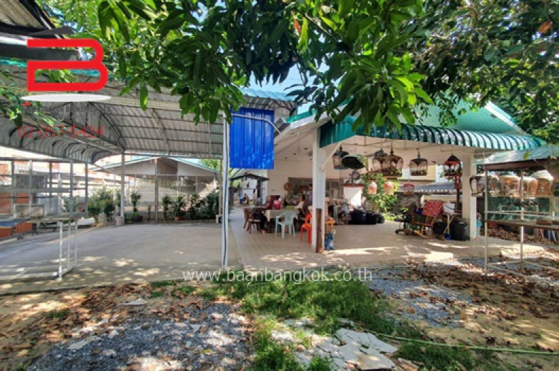 3-n 03818ที่ดิน สังคมสงเคราะห์18 ลาดพร้าว_201127_813