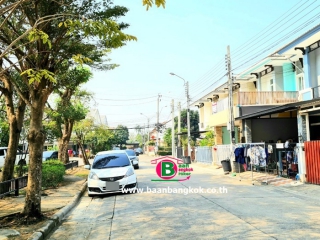 No 03909 พฤกษาทาวน์ราชพฤกษ์ 15018_210125_10