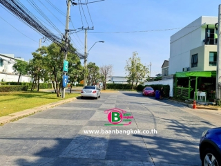 No.3935 ทฮ. คัลเลอร์พรีเมี่ยม_210119_6