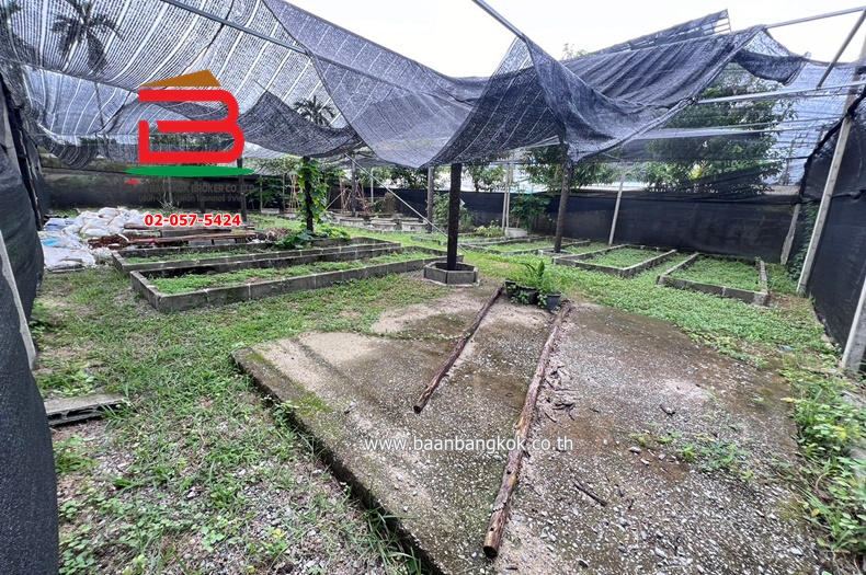 3-LINE_ALBUM_No.09654 เช่าที่ดินลาดพร้าว 31_240730_213