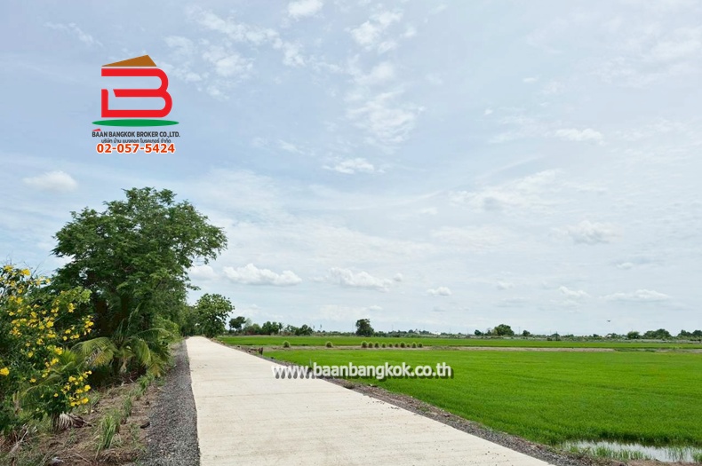 ที่ดินเปล่า เนื้อที่ 6-2-54 ไร่ ใกล้สถานีรถไฟ บางน้ำเปรี้ยว ถนนทางหลวงแผ่นดินหมายเลข 3124 ตำบลบางขนาก อำเภอบางน้ำเปรี้ยว จังหวัดฉะเชิงเทรา