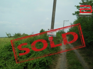 04063, ที่ดินถมแล้ว ซอยวัดราษฎร์บำรุงศักดิ์ เนื้อที่ 70 ตรว. ถนนองค์รักษ์-บางน้ำเปรี้ยว อ.บางน้ำเปรี้ยว จ.ฉะเชิงเทรา