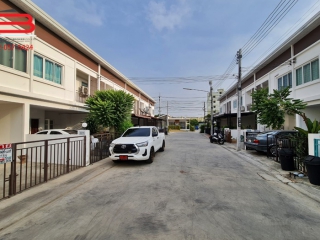 07243, ทาวน์เฮาส์ หมู่บ้าน บ้านร่มไม้ เดอะไฮฟ์ เนื้อที่ 20.3 ตรว. ถนนโรจนะ-อยุธยา อ.บางปะอิน จ.อยุธยา