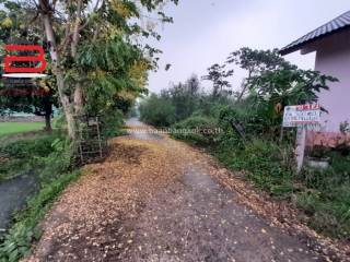 08107, ที่ดินจัดสรรถมแล้ว โครงการ สวนเกษตรไผ่ขวาง เนื้อที่ 300 ตรว. ถนนป่าโมก-ไผ่ขวาง อ.เมือง จ.สุพรรณบุรี