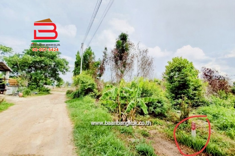 LINE_ALBUM_N.010786 LD 200 ตร.ว.เตี๋ยวโกหลิวบงกช 6_250804_9
